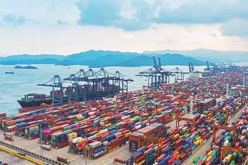 鹽田清理堆積集裝箱需1-3月！