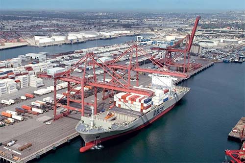 紐酷國際美森限時達渠道